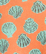 Stella Marina Mera Bikini Bottom - Image 5
