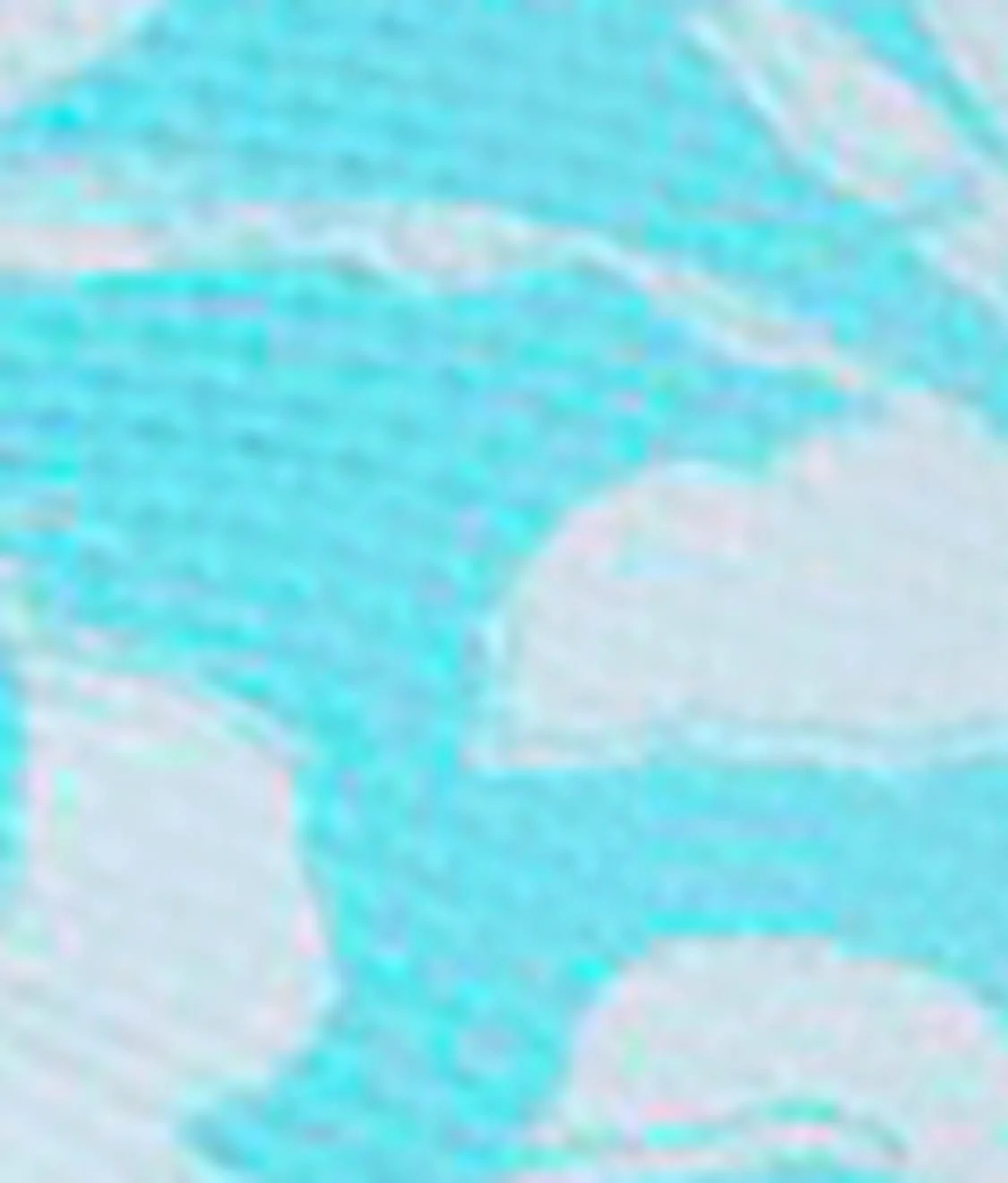 Tie Front Bikini Top - Image 65