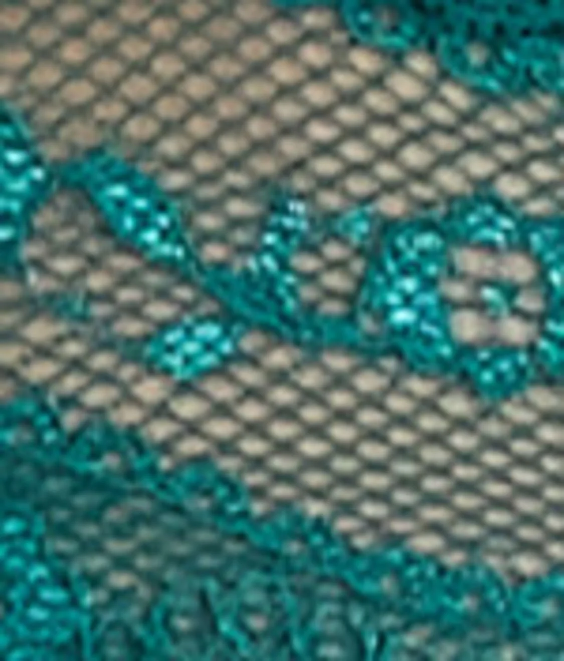 Lace Kiss Bikini - Image 74