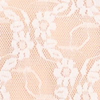 Lace Kiss Chemise - Image 17