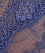 Lace Kiss Bikini - Image 13