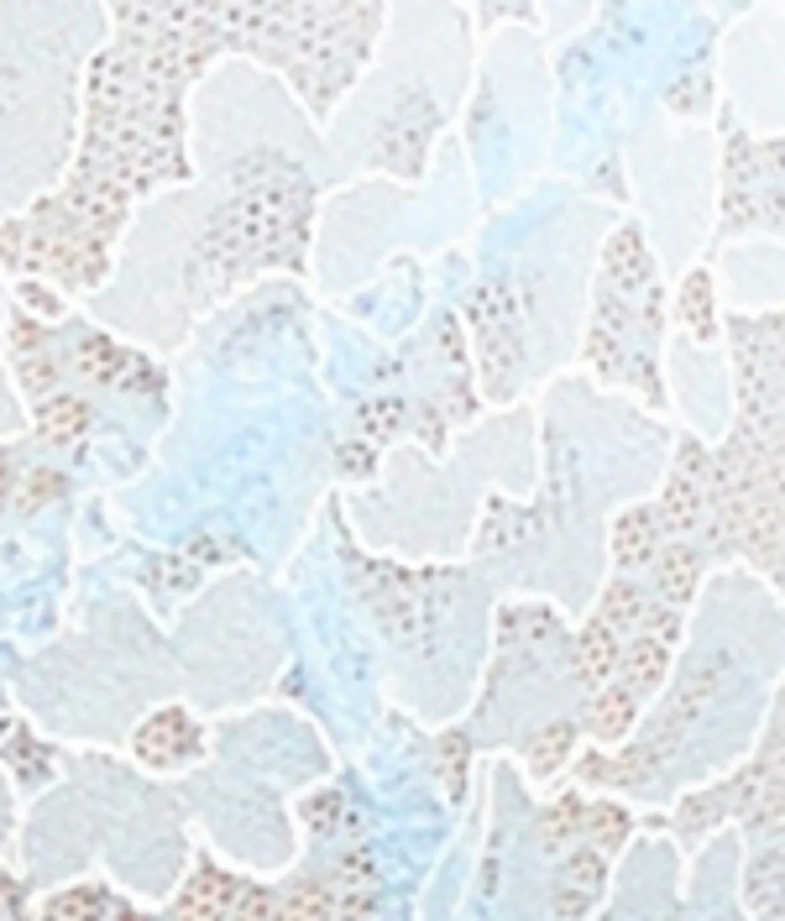 Lace Unlined Side Support Bra - Image 32