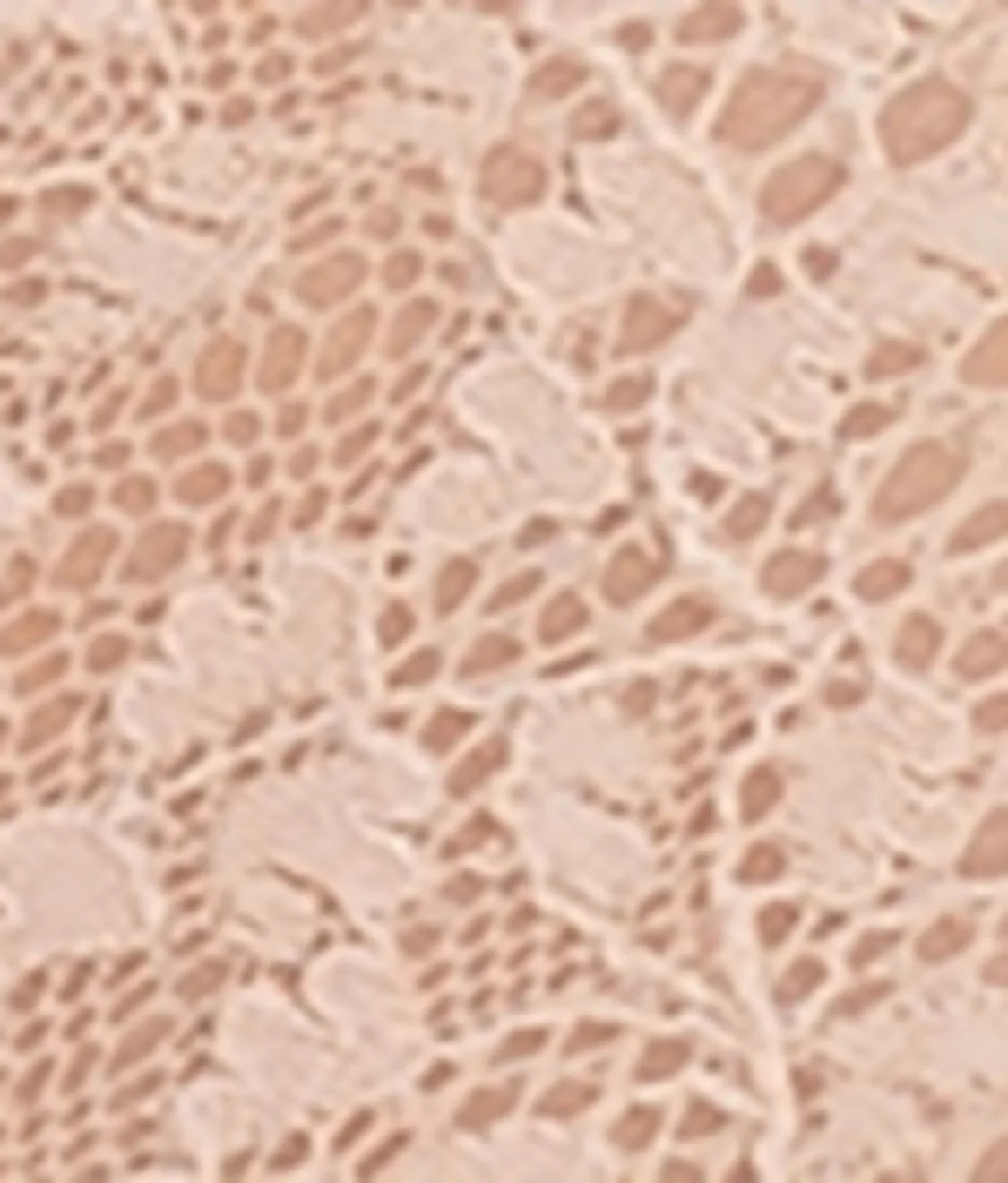 Lightly Lined Lace Plunge Bra - Image 12