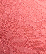 Lightly Lined Lace Plunge Bra - Image 35