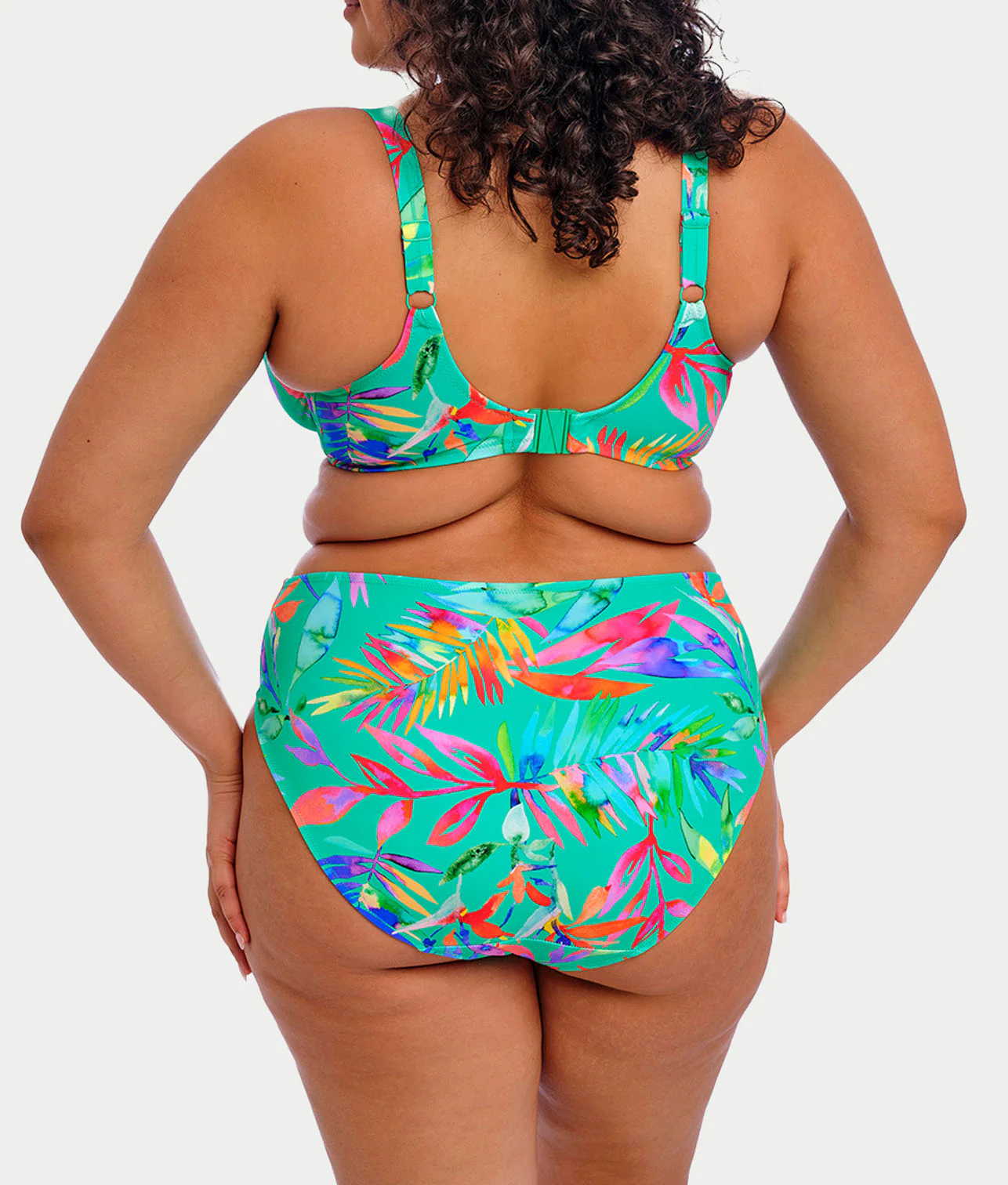 Plus Size Toyama Tides Mid Rise Bikini Bottom - Image 2