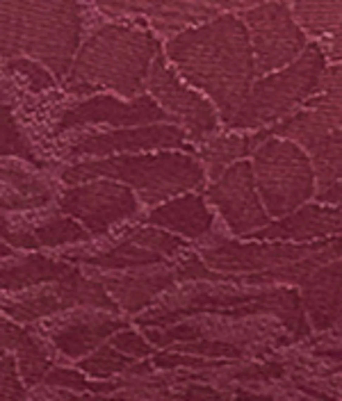 Fusion Lace Brief - Image 14