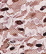 Printed Signature Lace Retro V-Kini - Image 4