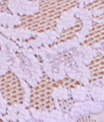 Signature Lace Boyshort - Image 10
