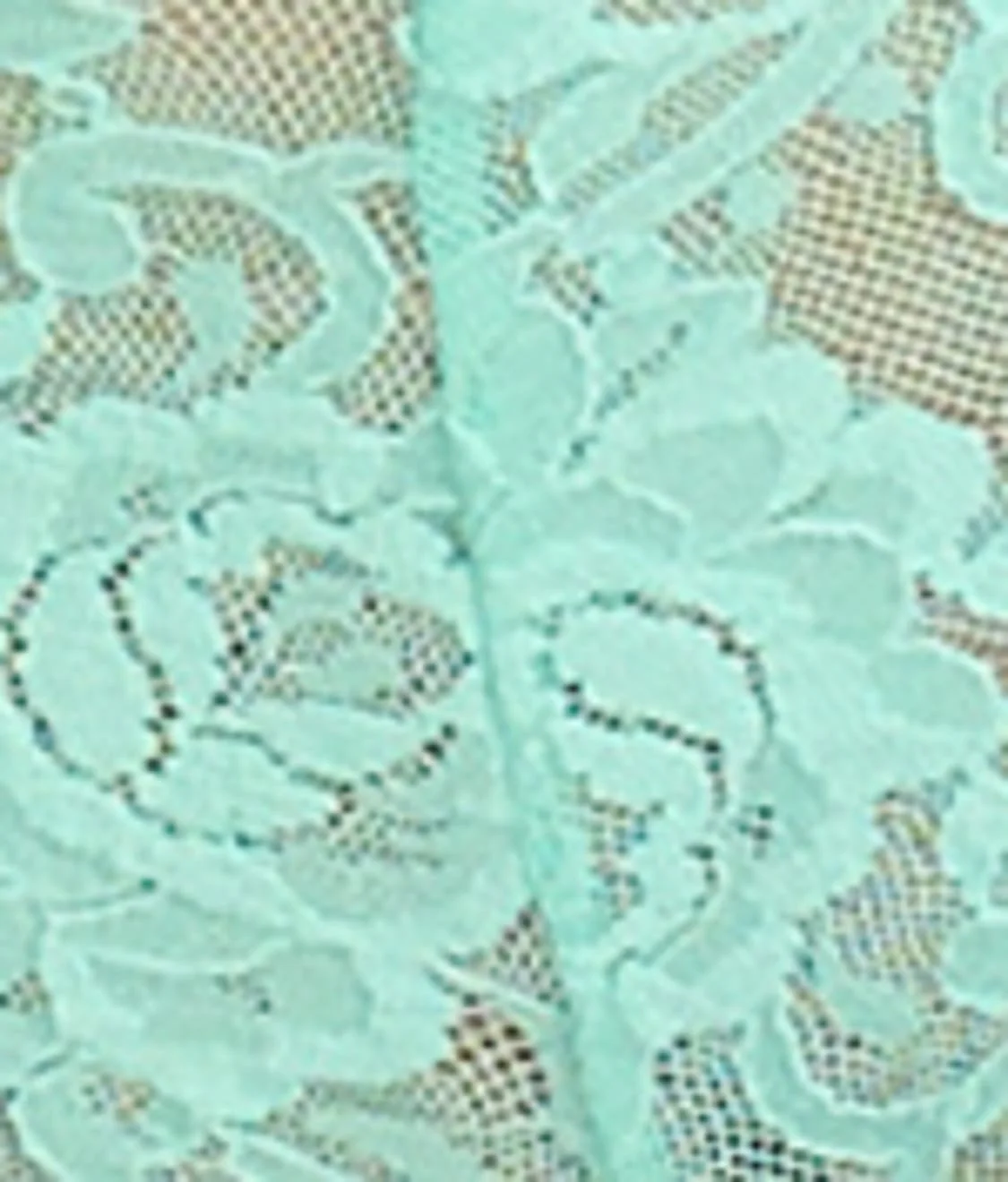 Signature Lace Boyshort - Image 119