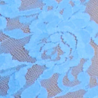 Signature Lace Boyshort - Image 25