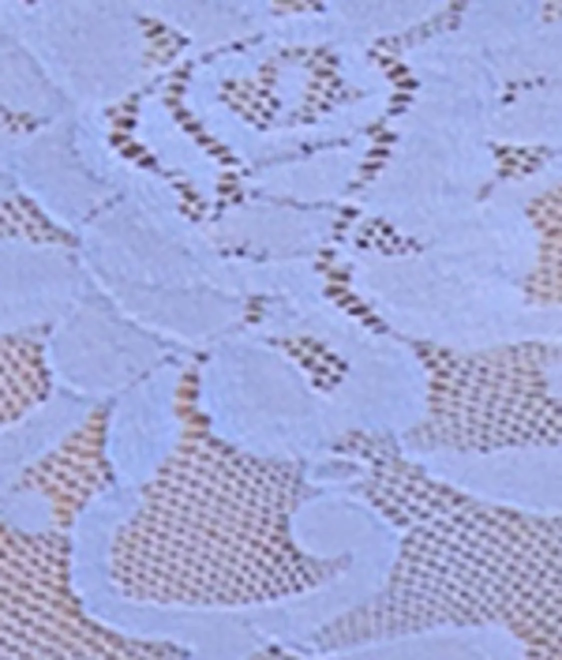 Signature Lace Boyshort - Image 62