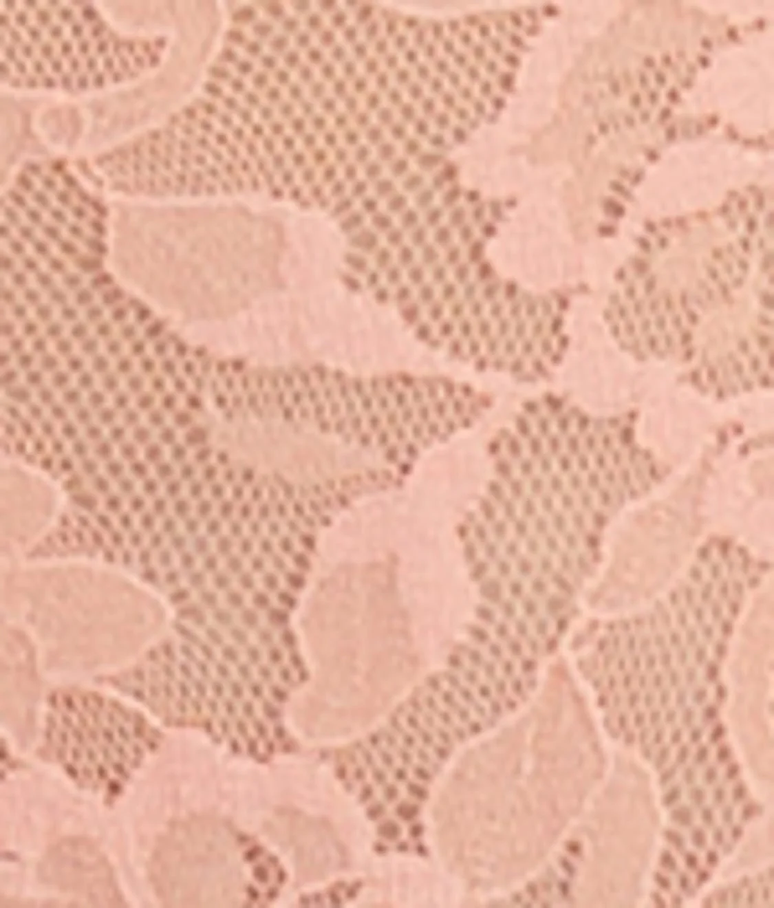 Signature Lace French Brief - Image 65