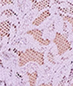 Signature Lace French Brief - Image 81