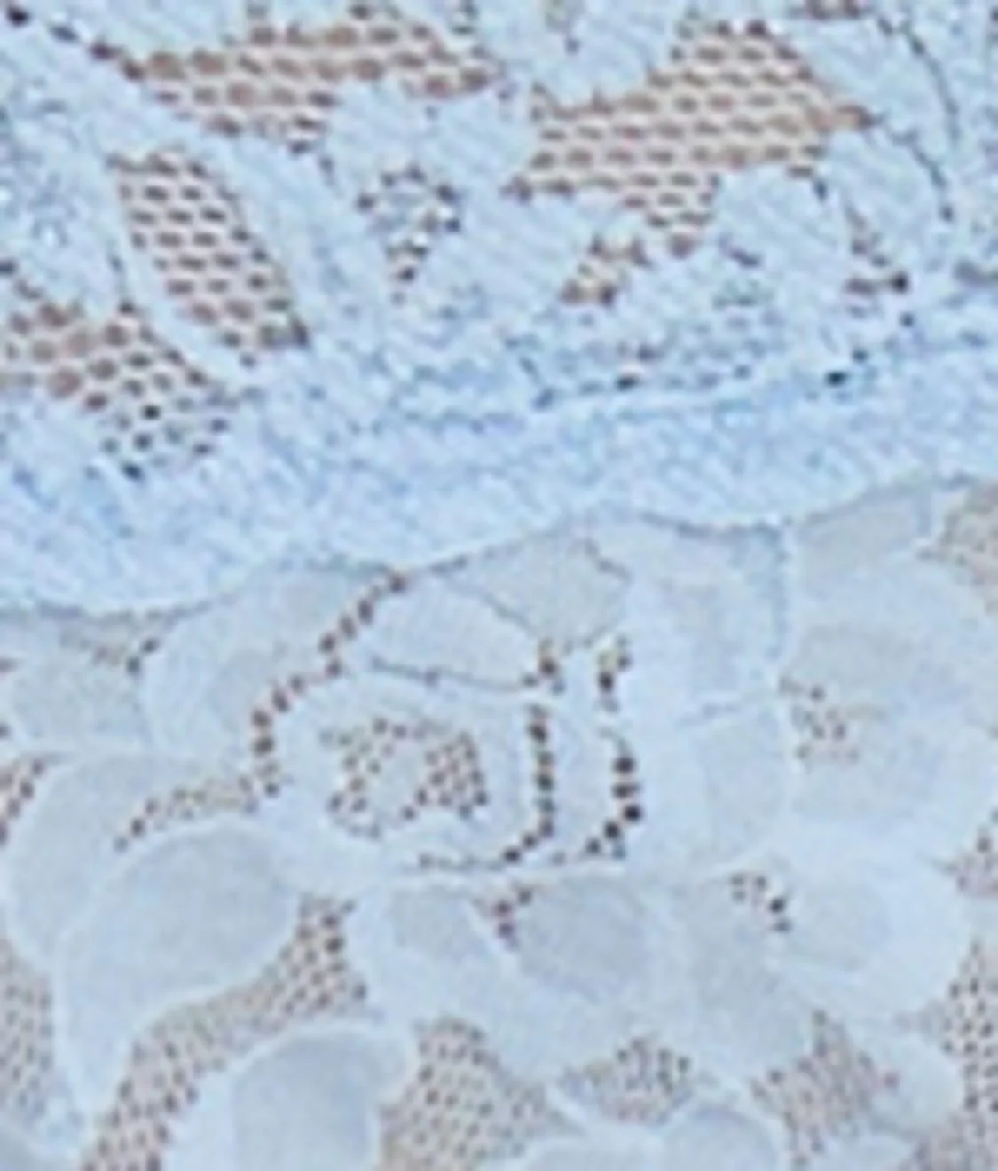 Signature Lace Original Rise Thong - Image 132