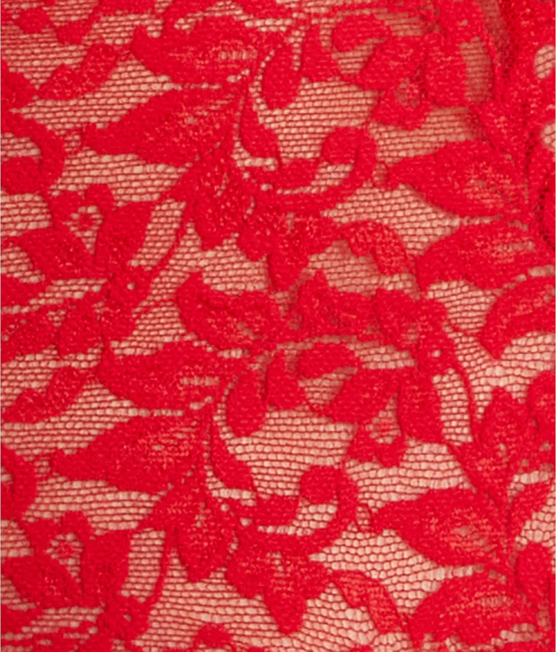 Signature Lace Retro Thong - Image 52