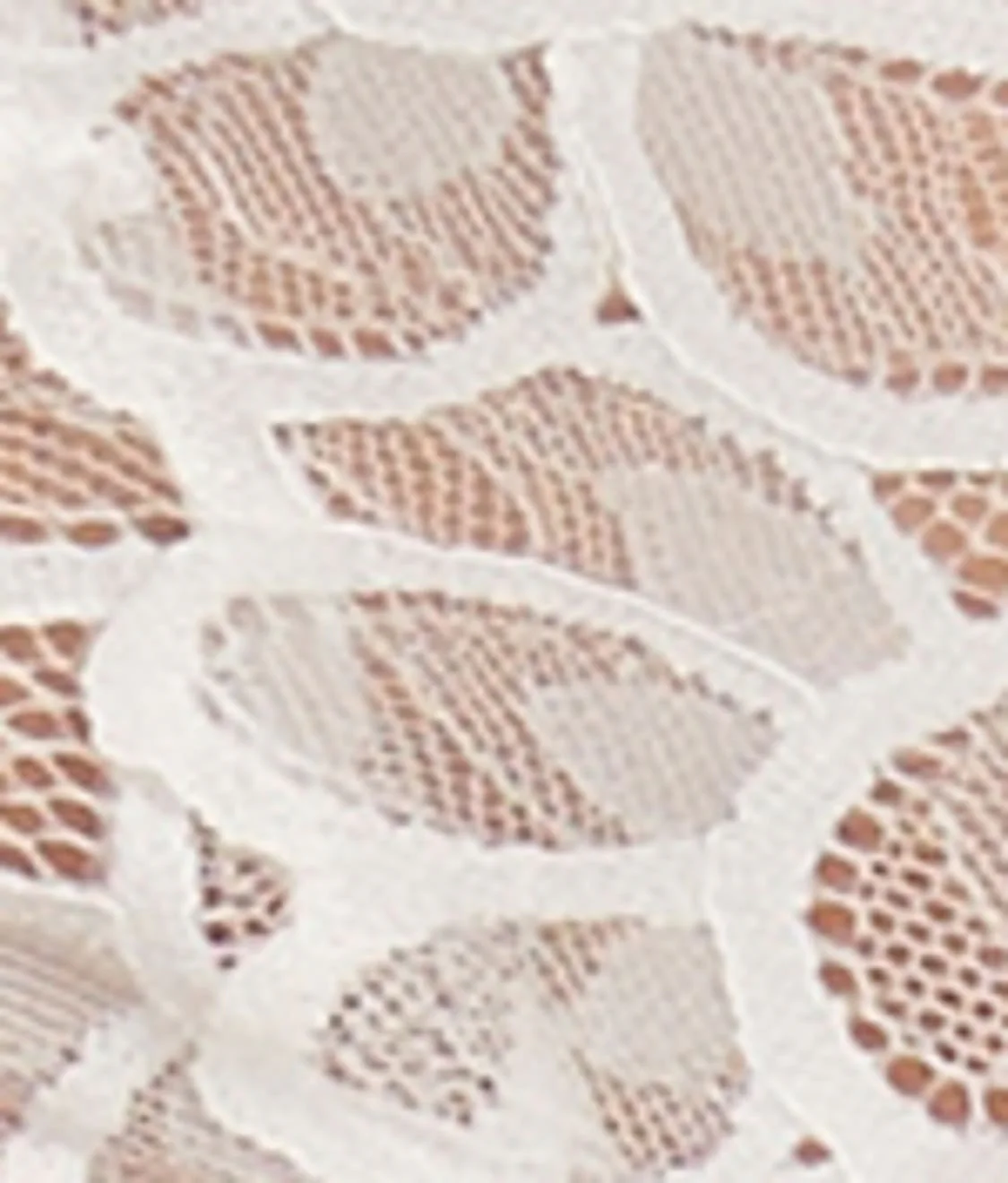 Allure Brief - Image 62