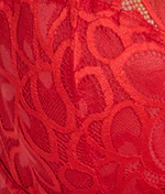 Allure Brief - Image 20