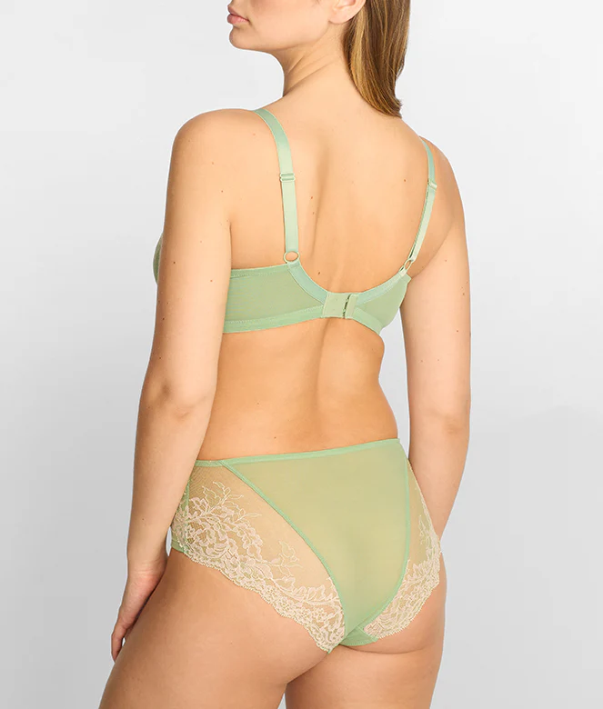 Ana Lacey Full Brief - Image 2