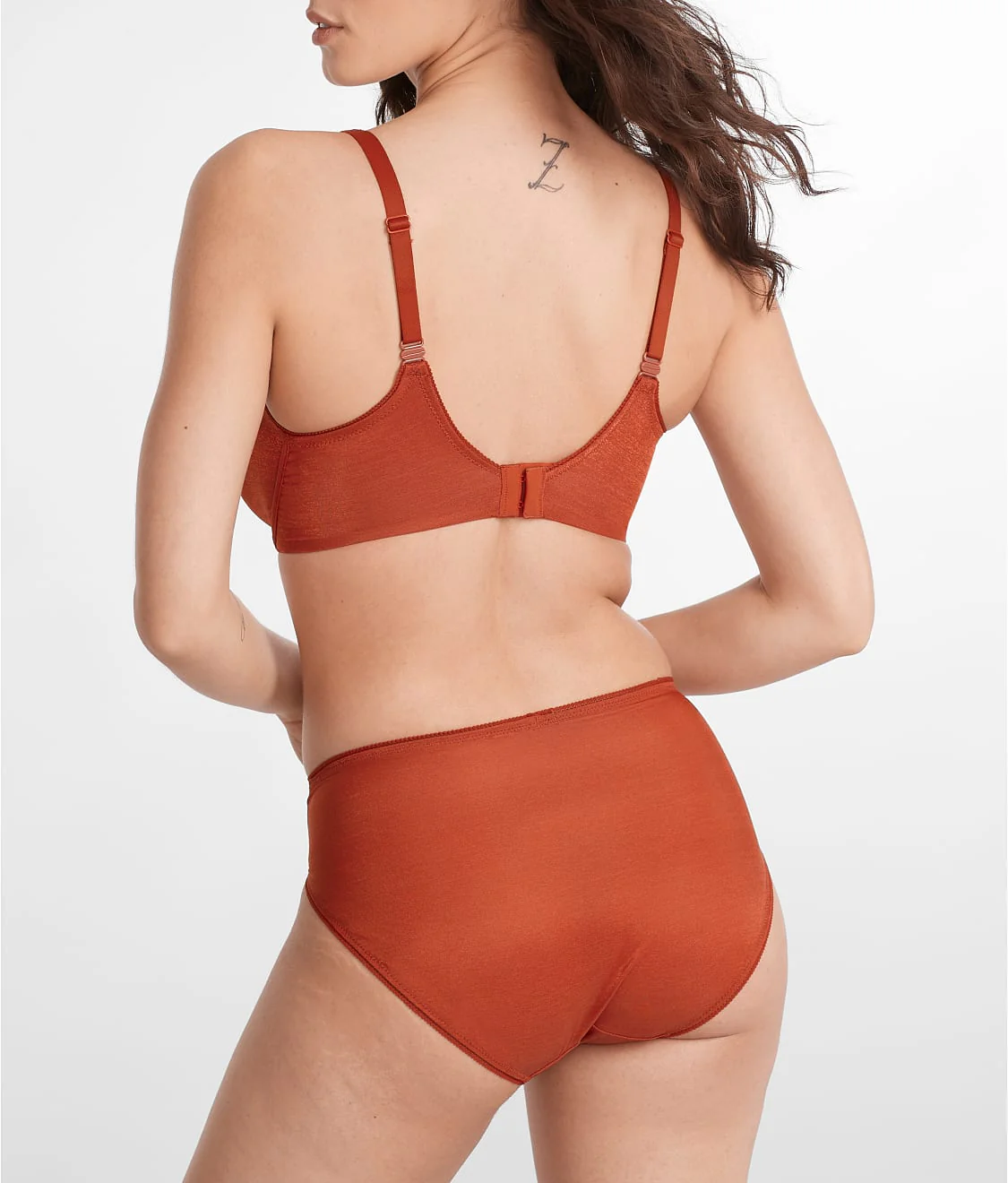 Everyday Essential Shimmer French Cut Bikini - Image 18