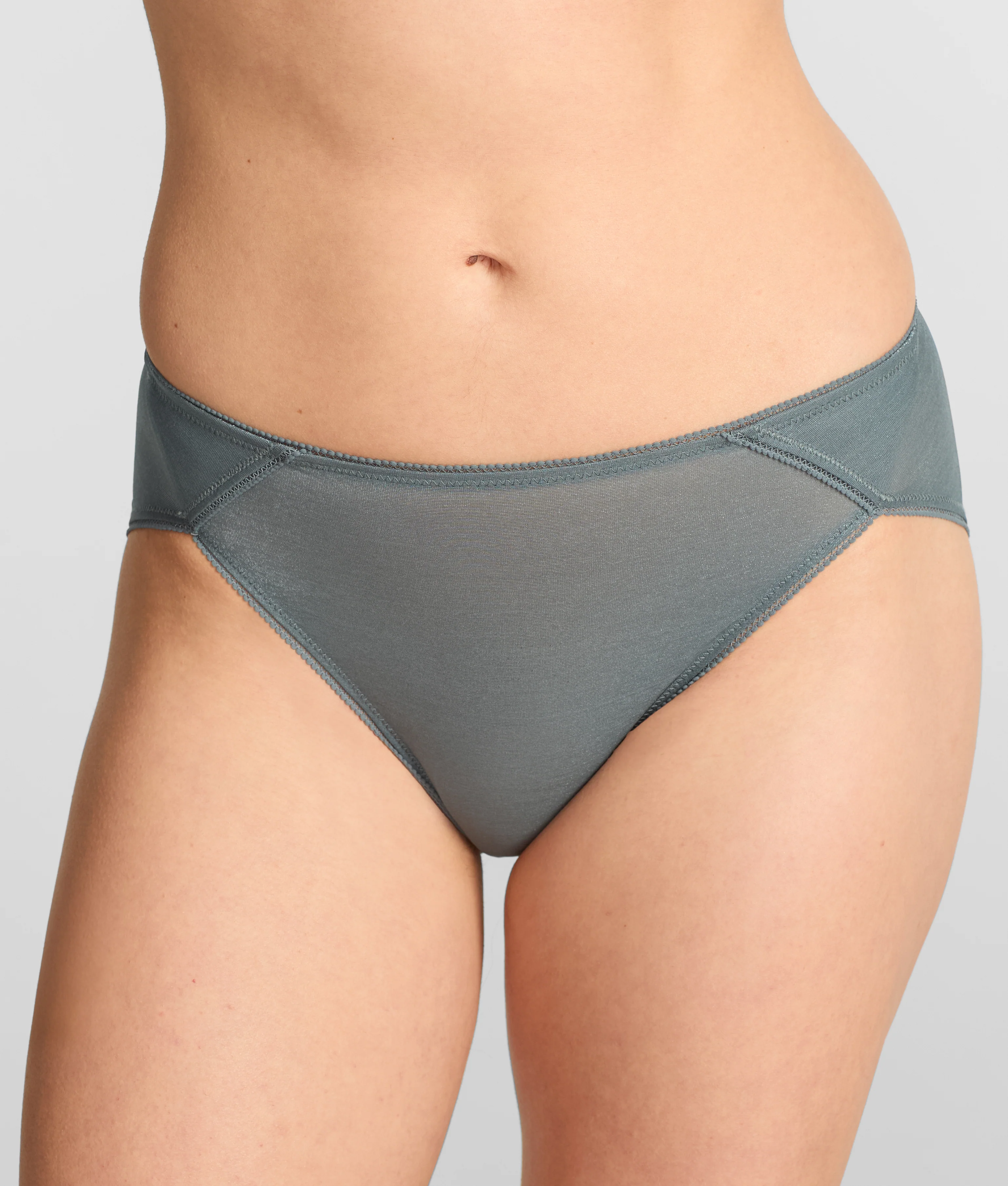 Everyday Essential Shimmer French Cut Bikini - Image 27