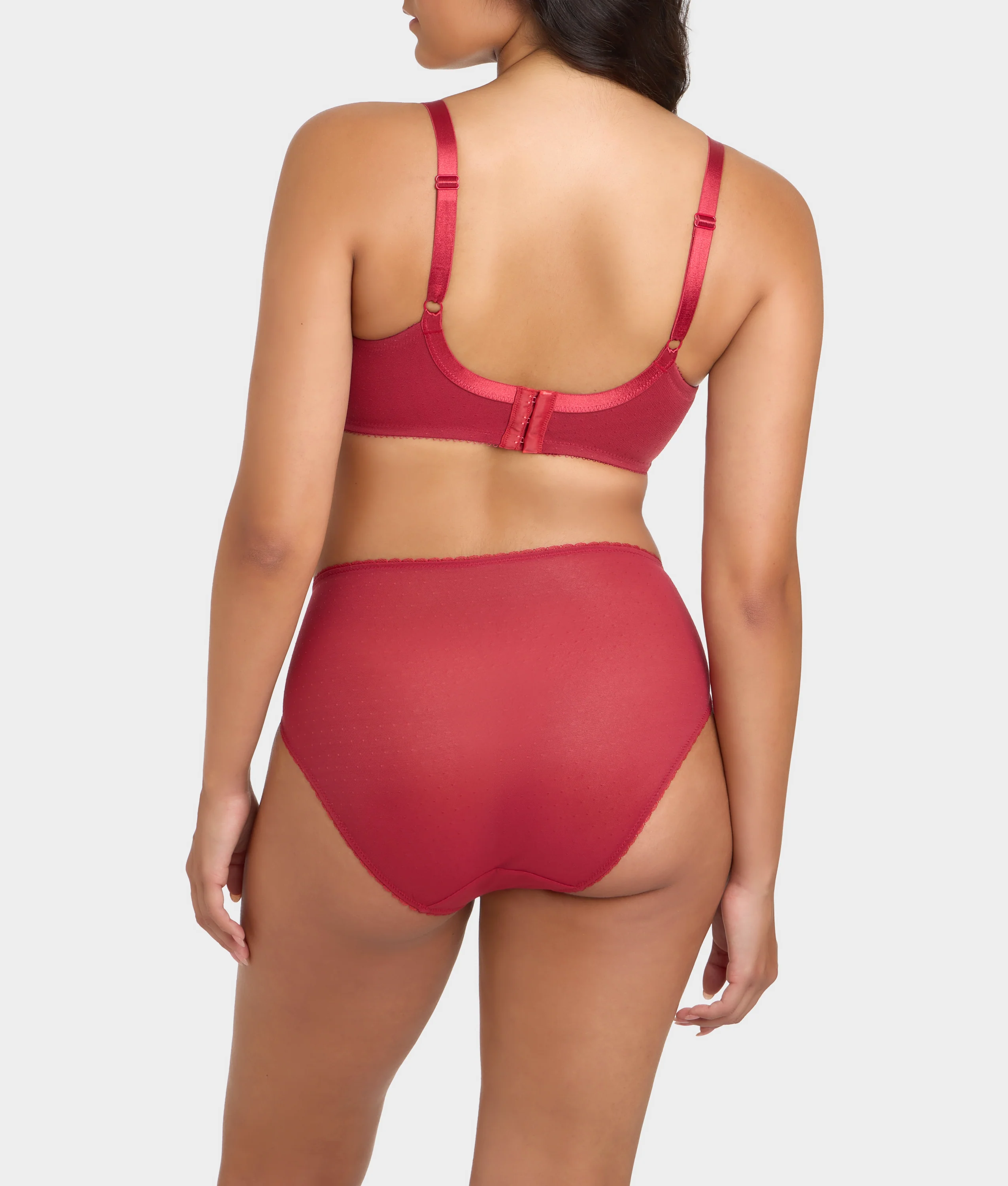 Retro Chic Hi-Cut Brief - Image 10